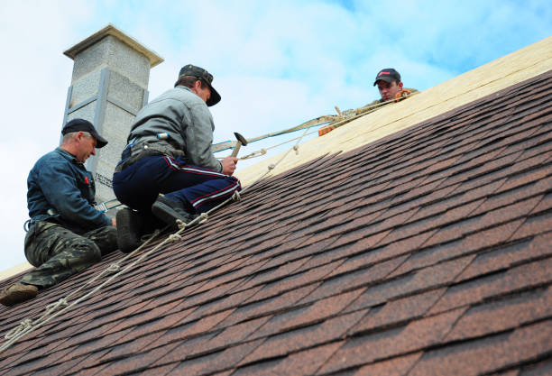 Best Roof Gutter Cleaning  in Yelm, WA